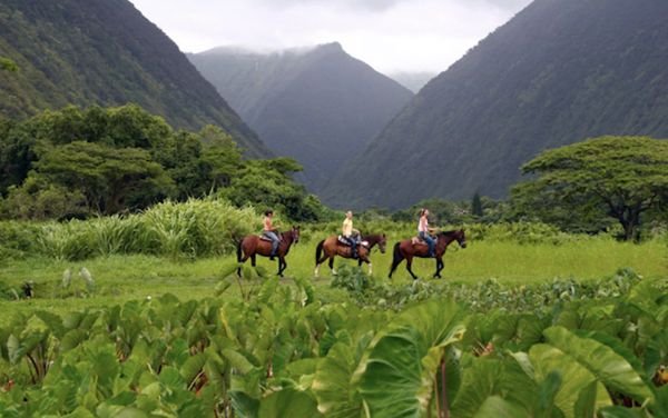 Waipio_Valley4(1).jpg