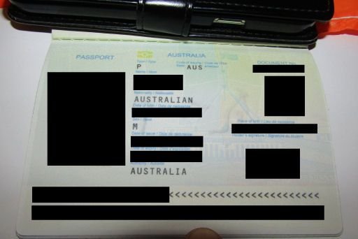 Passport bottom page blank.jpg