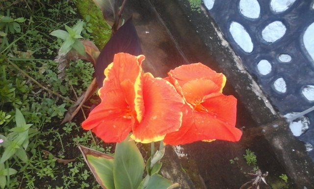 20180128_134627.jpg