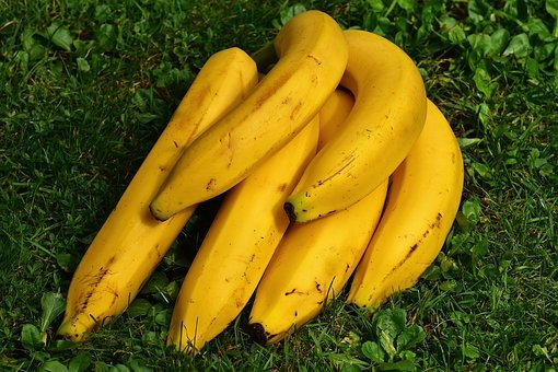 bananas-1642706__340.jpg