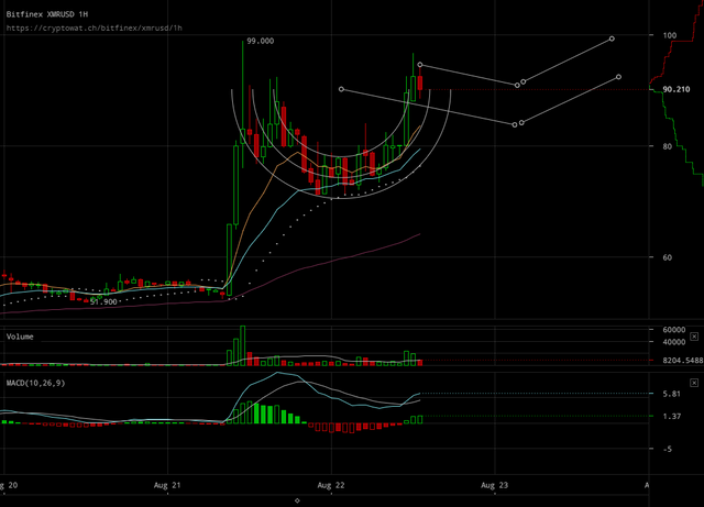 bitfinex-xmrusd-Aug-22-2017-14-37-47.png