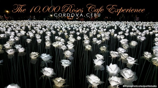 the-sophisticated-petite-bella-the-10k-roses-experience.jpg