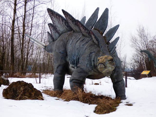 Stegosaurus 5.jpg