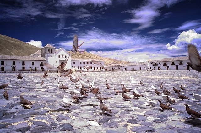 villa_de_leyva_plaza_pigeons_infrared_small1.jpg