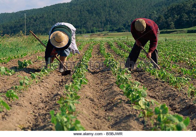 rural-clipart-subsistence-farming-9.jpg