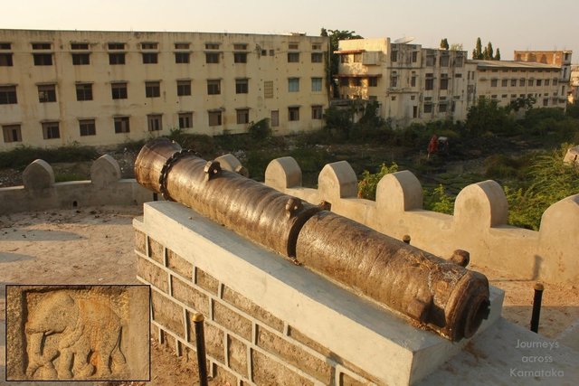 04 Raichur fort moat cannon.jpg