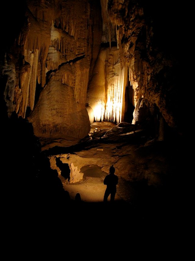 Cueva del guacharo.jpg