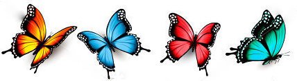 stock-vector-collection-of-colorful-butterflies-flying-in-different-directions-vector-452547202.jpg