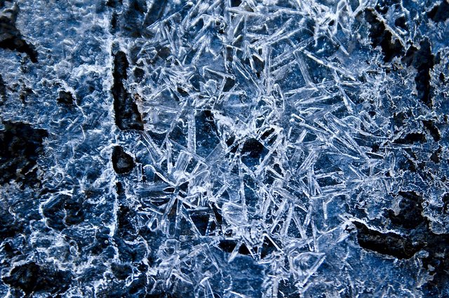 frost-2437029_960_720.jpg