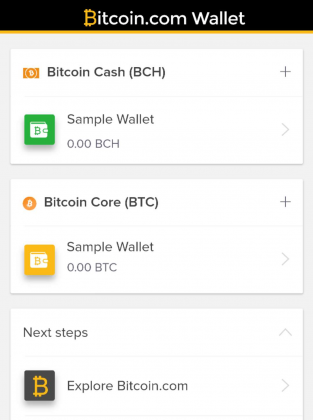 wallet-sample-313x420.png