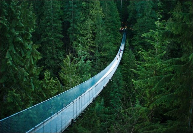 puente colgante de capilano columbia britanica canada.jpg