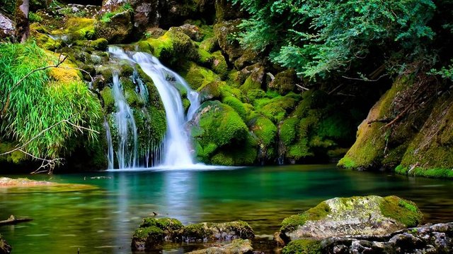 ashish-dewan-nature-beautiful-amazing-beauty-god-natural-gift-waterfall-greenery-ashish-dewan-toronto-tourism.jpg