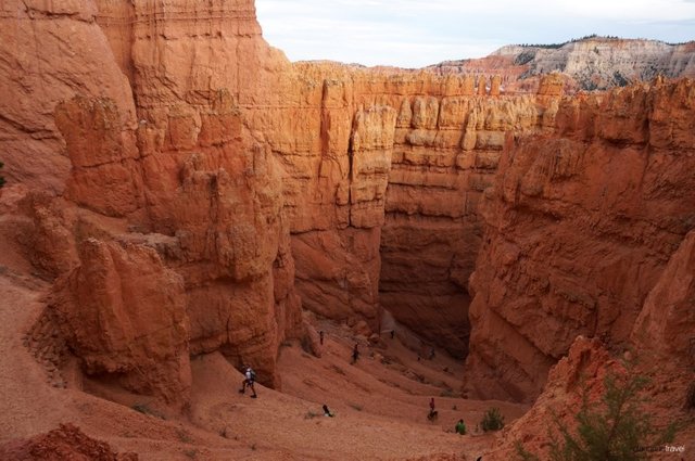 bryce6.jpg