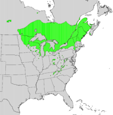 220px-Thuja_occidentalis_range_map.png