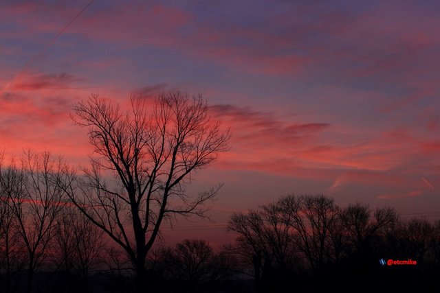 pink sunrise dawn SR15-11.JPG