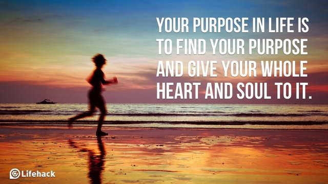 Quotes About Purpose In Life_ QuotesGram.jpg