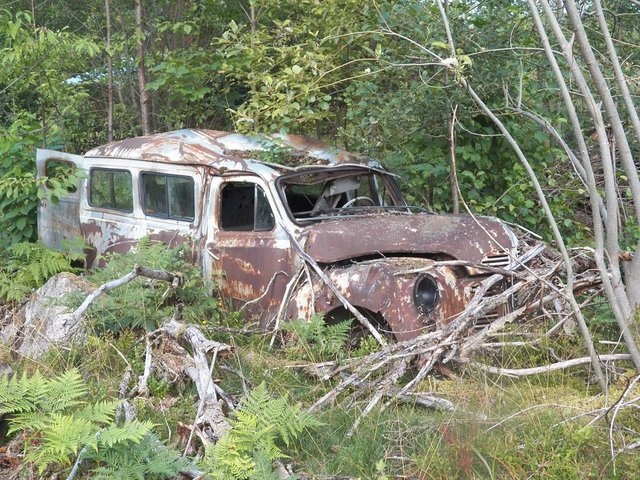 car4.jpg