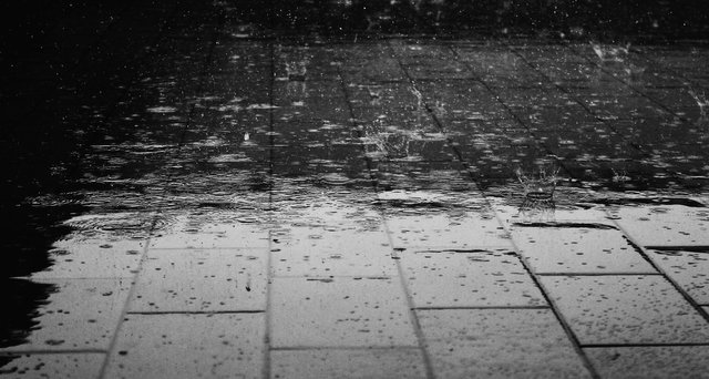 rain-122691_1920.jpg