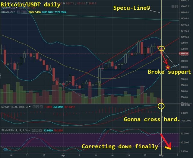 May 1 BTC T&A.jpg