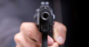 gunpoint.jpg
