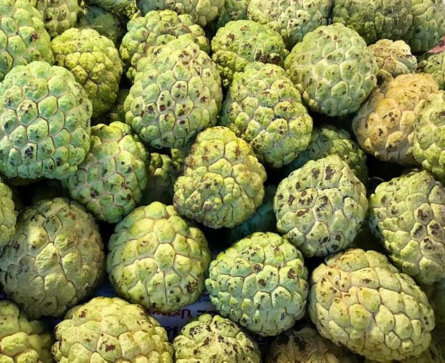 custard apple.jpg