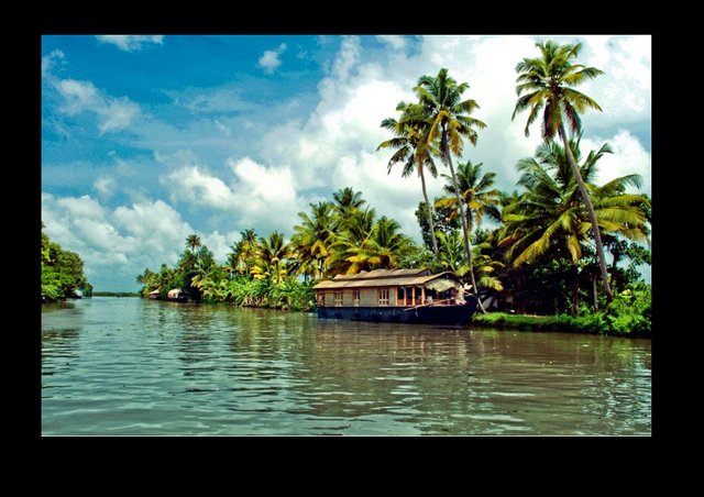 Alleppey backwaters.jpg