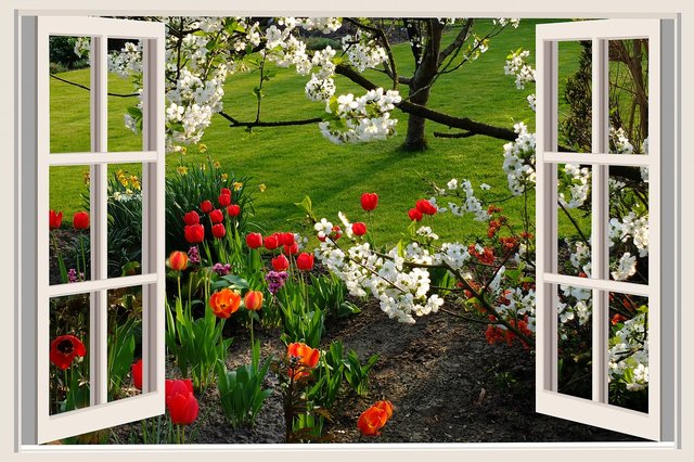 a-beautiful-day-2247264_1280.jpg