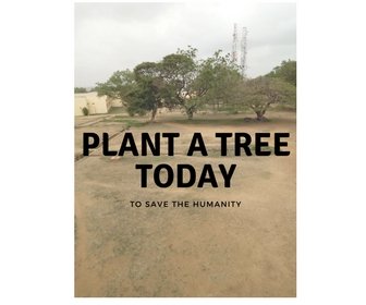 Plant a treeToday.jpg