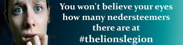 banner promo #thelionslegion.jpg