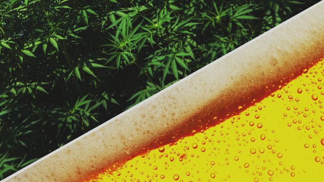 who-gains-the-most-by-cannabis-being-illegal-alcohol-industry.jpg