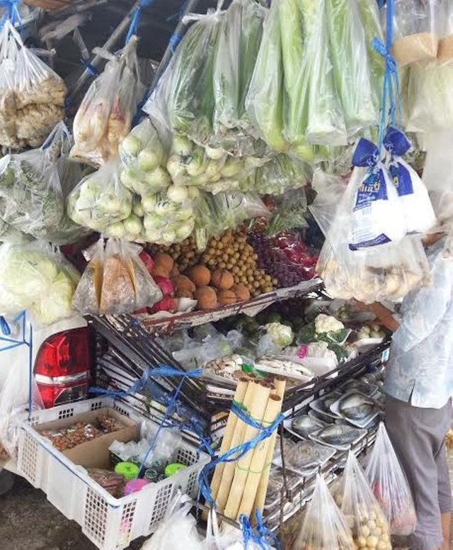 Mobile fruit and vegetable shop5.jpg