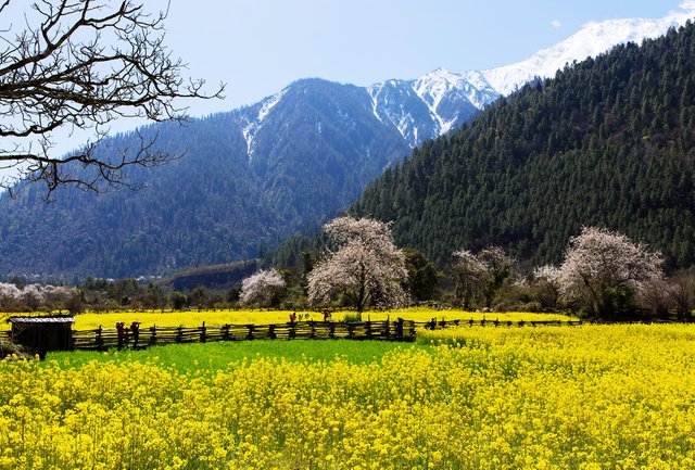 Adventures in Tibet 5.jpg