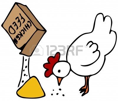 8566048-una-imagen-de-una-gallina-de-comer-de-un-cuadro-de-piensos-de-pollo.jpg