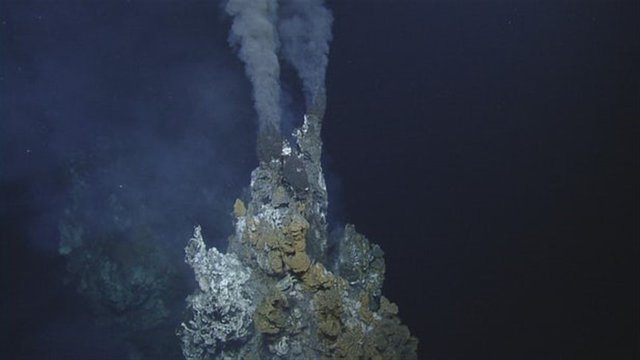 hydrothermal-vents-incubate-eggs-4_800x450.jpg