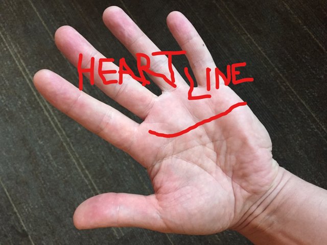 hand heartline.jpg