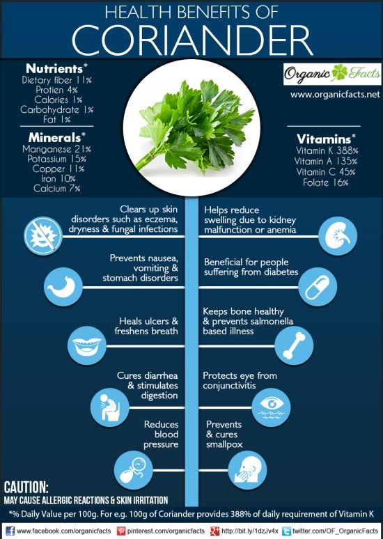 Why we need Coriander in our Food!! — Steemit