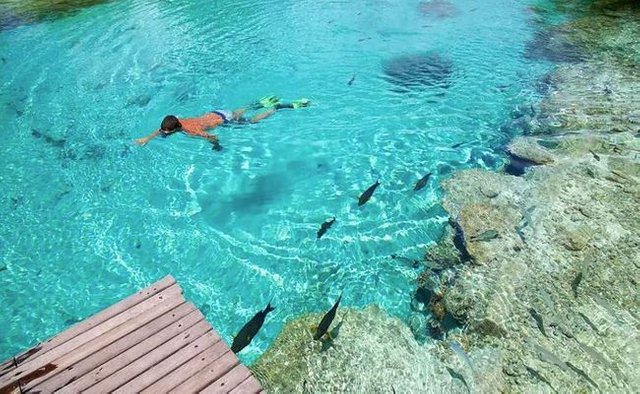 Bora Bora Lagoonarium.jpg