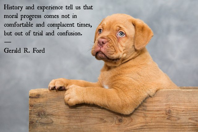 Gerald R. Ford quote 1.jpg