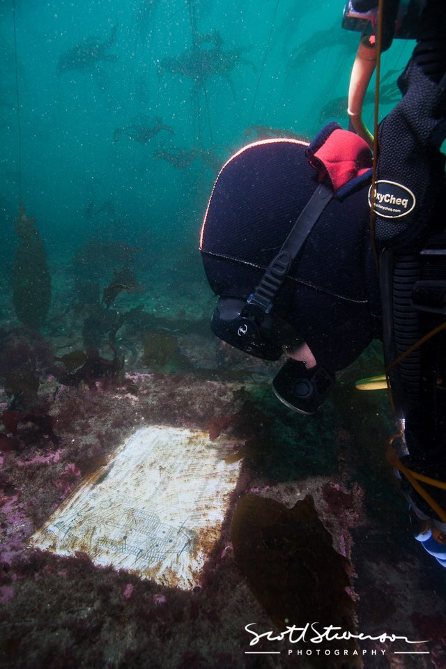 Barnard Castle Shipwreck-7.jpg