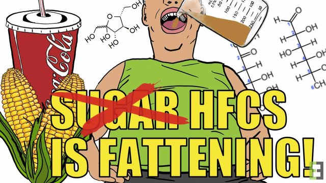 HFCS IS FATTENING.jpg