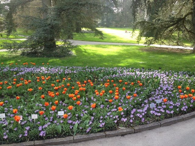 mainau_2.2.jpg