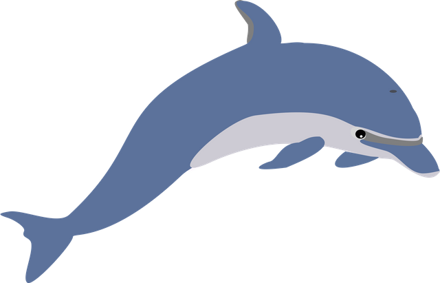 dolphin-clip-art-dolp.png