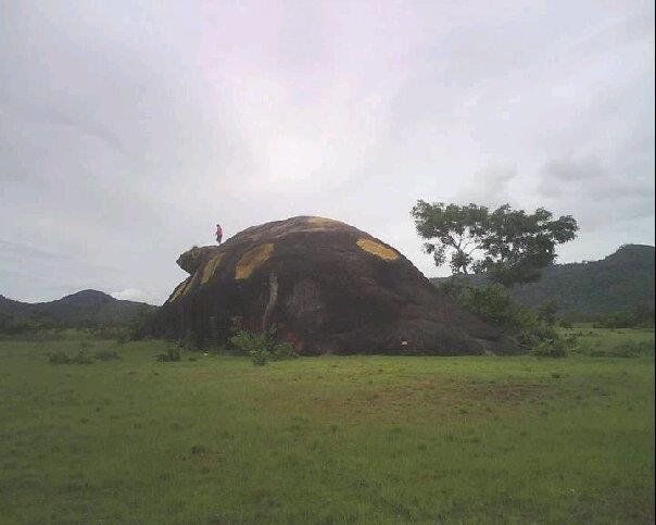 La piedra La tortuga en Pijiguaos estado Bolívar,.jpg