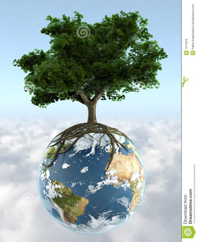 tree-planet-earth-7411819.jpg