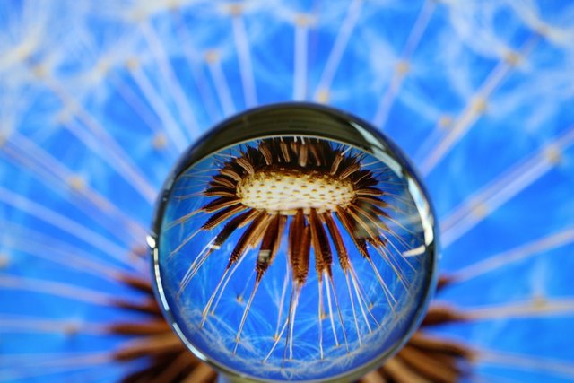 glass-3192600_960_720.jpg