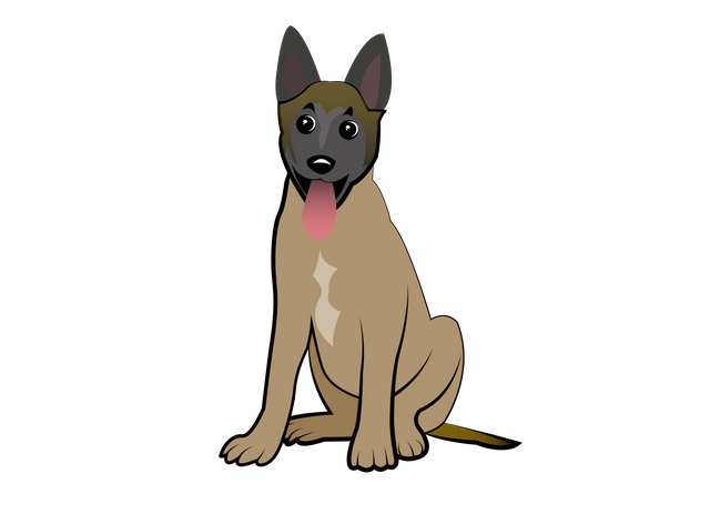 9 Belgain Malinois.png