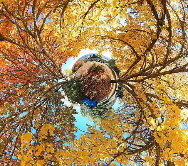 october-autumn-fall-360-180-planet-panorama.jpg