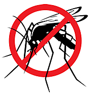 NoMosquitoes_181w.png
