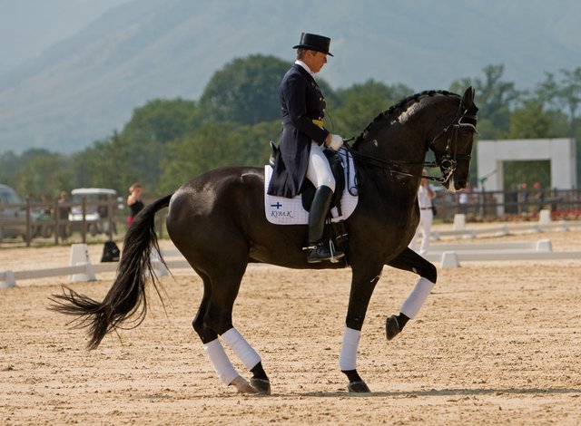 kyra_kyrklund_amazona-doma_clasica_dressage_CMYK.jpg