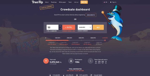 trueflip crowdsale.jpg